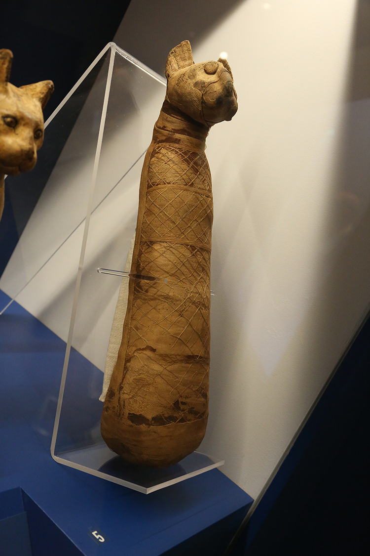 Archeologia invisibile_083.jpg